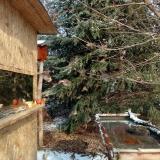 photo 2022-01-09 11-44-01