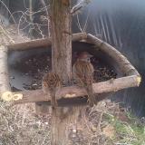 photo 2019-03-02 09-09-02