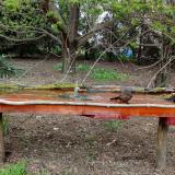 photo 2021-04-17 16-48-51