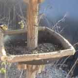 photo 2019-12-30 13-42-24