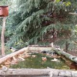 photo 2023-10-04 09-26-41