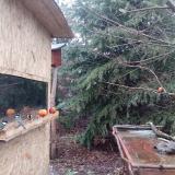 photo 2021-12-29 08-47-51