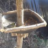 photo 2019-02-16 13-26-51