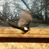 photo 2022-01-15 09-43-19-cinke