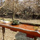 photo 2021-03-26 08-56-37