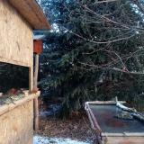 photo 2022-01-10 09-26-35