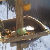 photo 2019-01-27 10-29-39