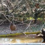 photo 2021-03-11 07-47-04 2