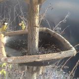 photo 2019-12-29 14-15-45