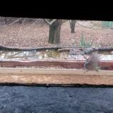 photo 2021-12-07 08-58-35