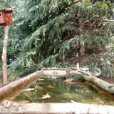 photo 2023-10-11 11-26-35