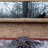 photo 2022-01-20 15-23-03