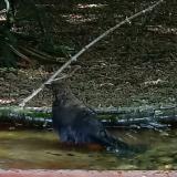 photo 2021-07-13 08-14-07 rigo