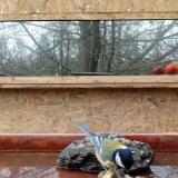 photo 2022-01-31 13-57-54