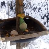 photo 2019-01-20 08-45-07