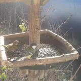 photo 2019-12-24 09-55-50