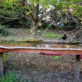 photo 2021-04-23 18-36-23