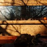 photo 2022-01-24 08-54-18