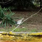 photo 2021-04-27 09-01-38 baratposzata