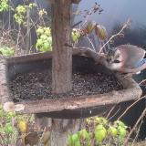 photo 2019-12-12 11-52-24