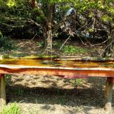 photo 2021-04-21 12-45-44