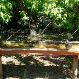 photo 2021-05-11 10-08-00