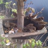 photo 2019-12-08 13-09-09