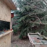 photo 2022-01-08 10-28-18