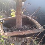 photo 2019-12-22 08-07-10