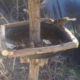 photo 2019-02-27 11-40-51