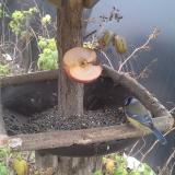 photo 2019-12-05 10-57-03