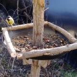 photo 2019-01-03 10-50-41