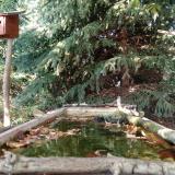 photo 2023-10-04 15-35-45