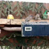 photo 2021-02-10 10-18-41