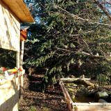 photo 2021-12-18 09-06-37