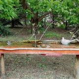 photo 2021-05-06 12-53-45