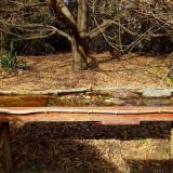 photo 2021-10-26 13-33-37