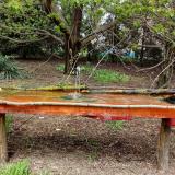 photo 2021-04-19 12-59-07