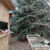 photo 2021-12-22 13-42-41