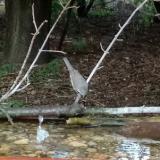 photo 2021-08-03 16-49-31 poszata