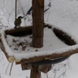 photo 2019-01-08 15-37-42