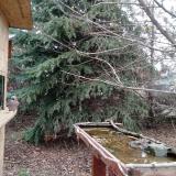 photo 2021-12-12 11-44-16