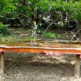 photo 2021-04-30 14-10-42