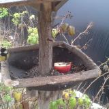 photo 2019-12-06 10-14-24