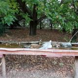 photo 2021-09-29 07-45-38