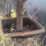 photo 2019-12-22 12-42-41