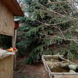 photo 2021-12-18 13-49-09