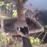 photo 2019-12-12 12-25-21