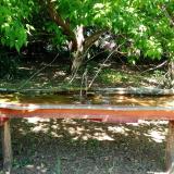 photo 2021-05-10 12-04-26