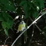 photo 2021-09-08 09-45-18 kekcinege